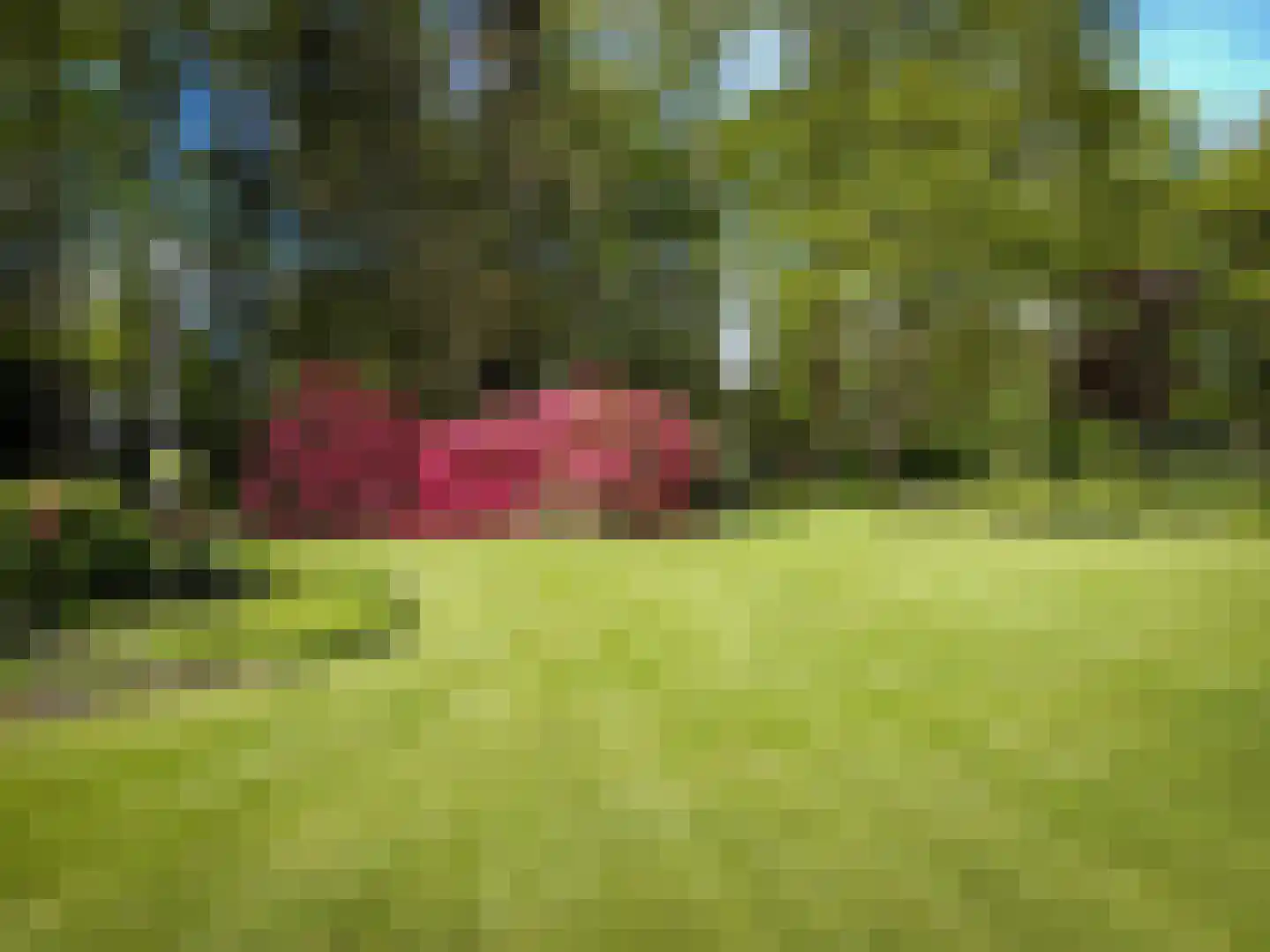 Elspeterweg 10 Vaassen thumbnail 30
