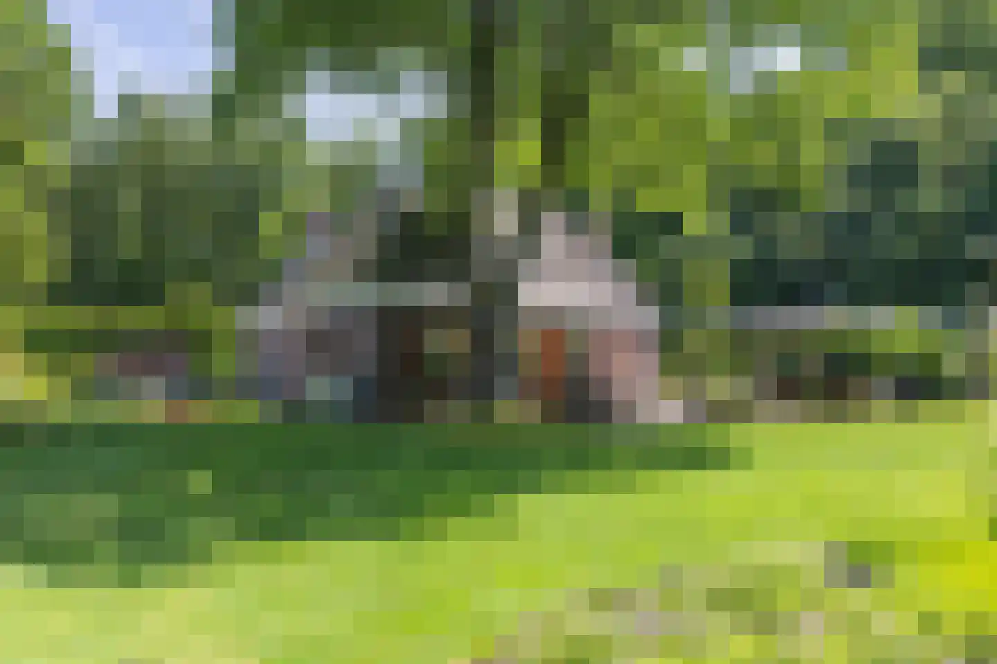 Elspeterweg 10 Vaassen thumbnail 32