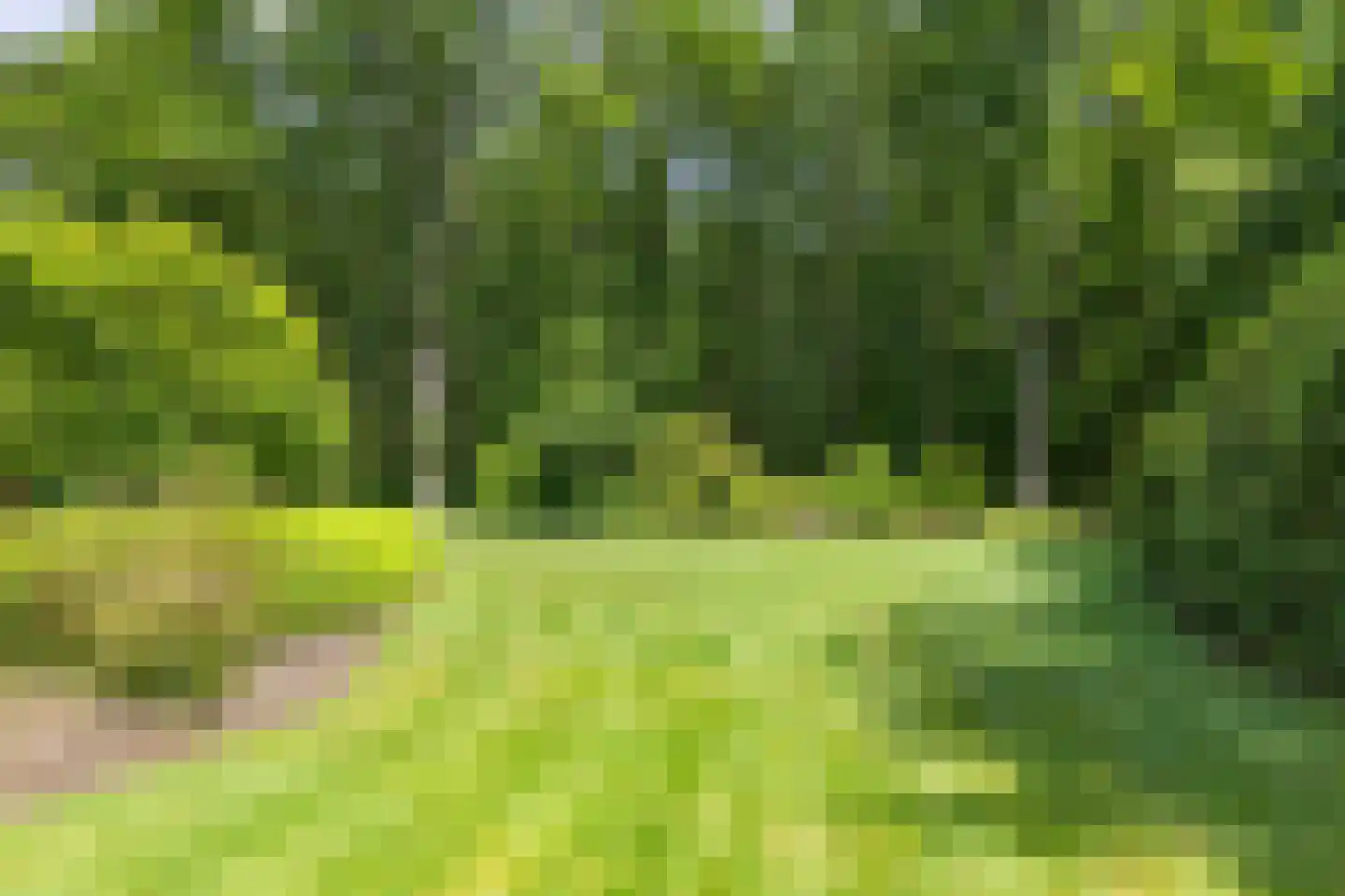 Elspeterweg 10 Vaassen thumbnail 34