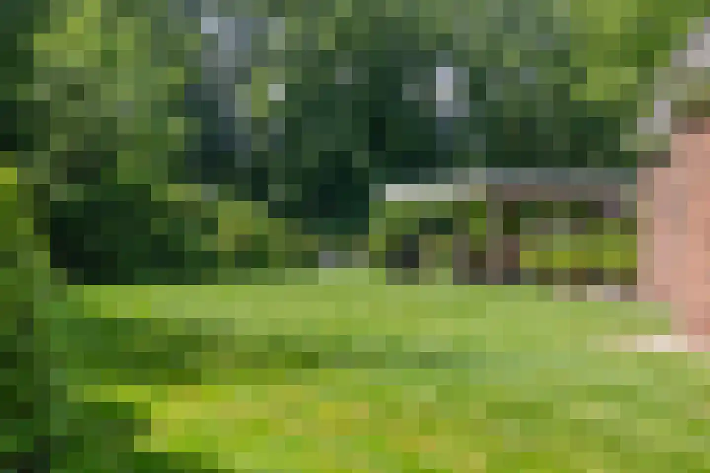 Elspeterweg 10 Vaassen thumbnail 35