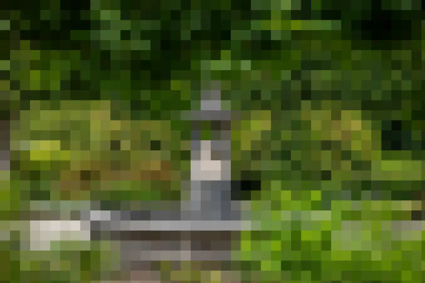 Elspeterweg 10 Vaassen thumbnail 36