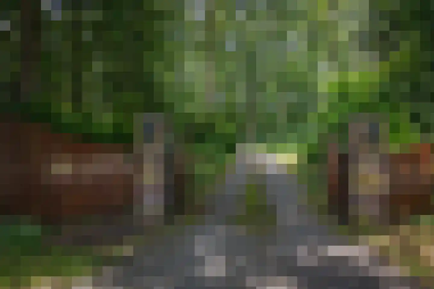 Elspeterweg 10 Vaassen thumbnail 38
