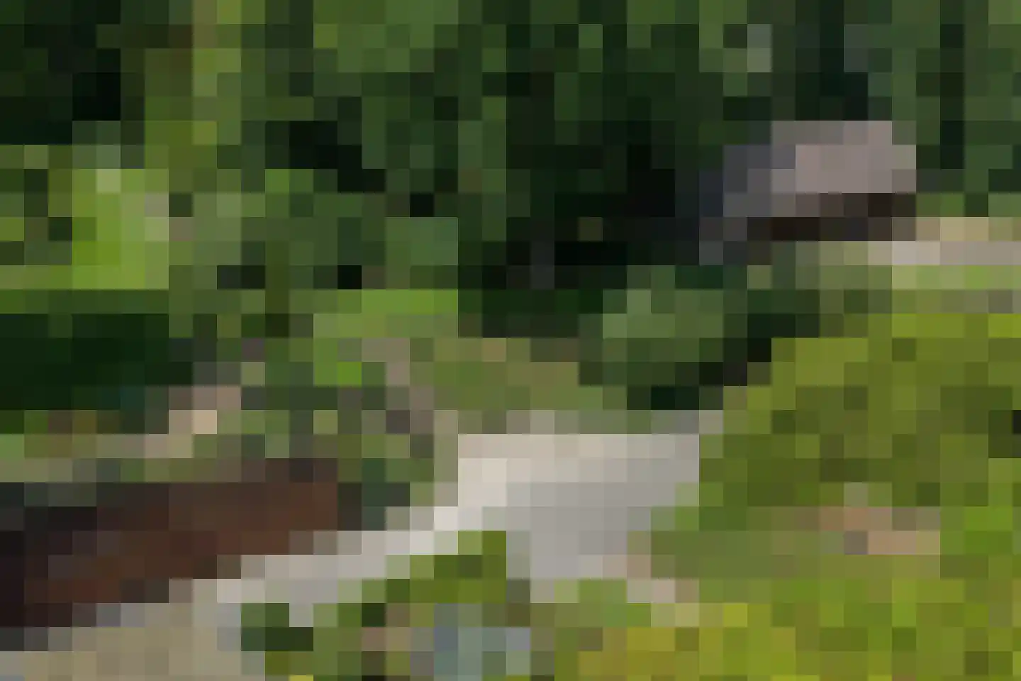 Elspeterweg 10 Vaassen thumbnail 39