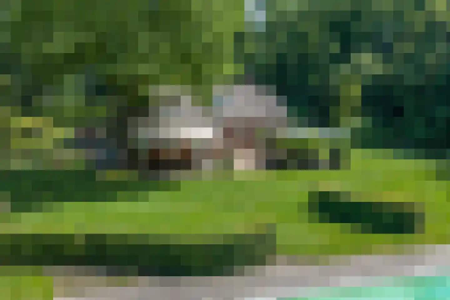 Elspeterweg 10 Vaassen thumbnail 4