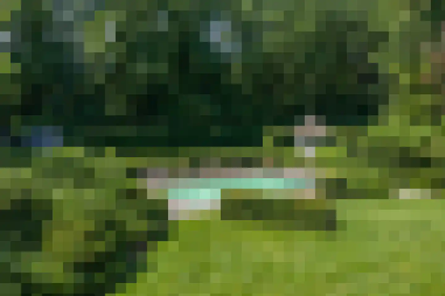 Elspeterweg 10 Vaassen thumbnail 48