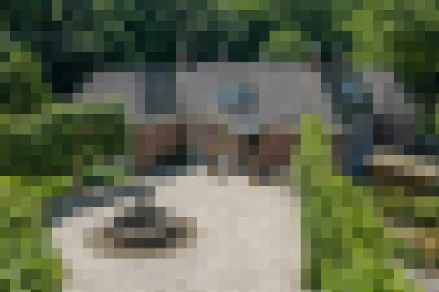 Elspeterweg 10 Vaassen thumbnail 5