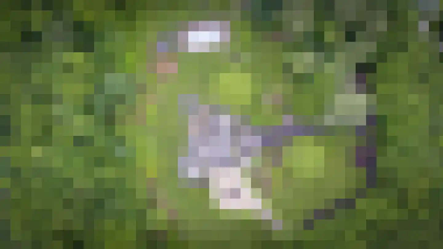 Elspeterweg 10 Vaassen thumbnail 53