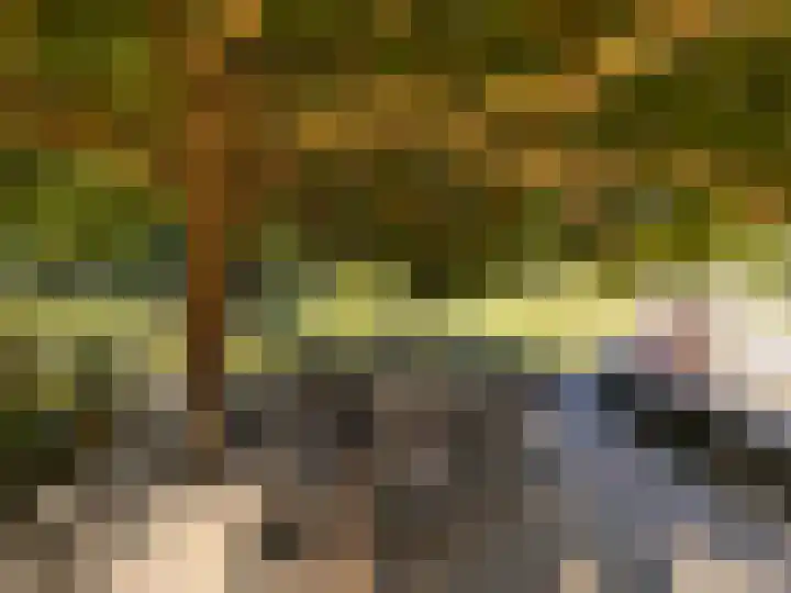 Elspeterweg 18 Vaassen thumbnail 11