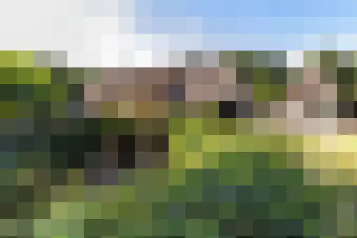Elspeterweg 18 Vaassen thumbnail 12