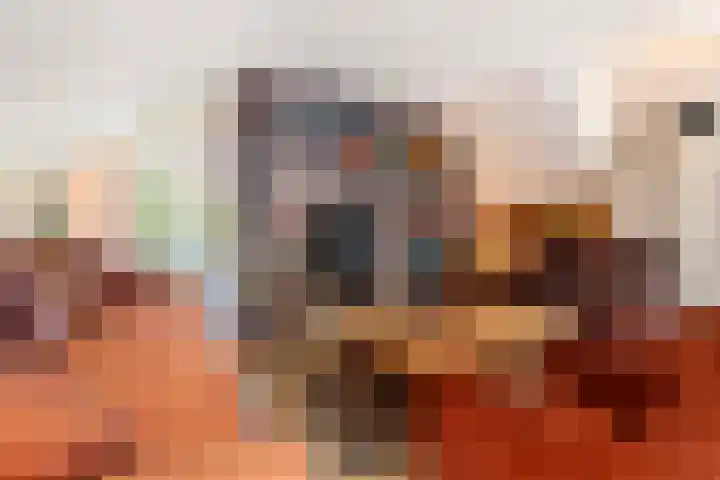 Elspeterweg 18 Vaassen thumbnail 13