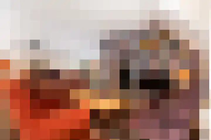 Elspeterweg 18 Vaassen thumbnail 14
