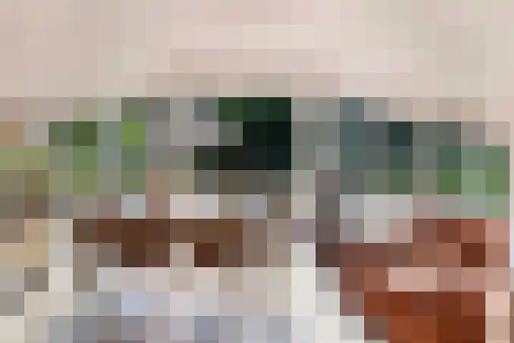 Elspeterweg 18 Vaassen thumbnail 20