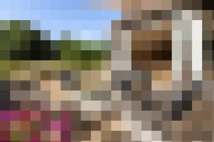 Elspeterweg 18 Vaassen thumbnail 22