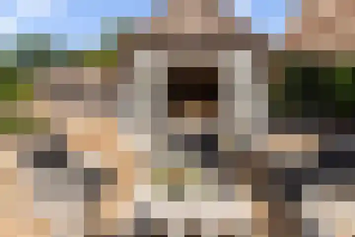 Elspeterweg 18 Vaassen thumbnail 23