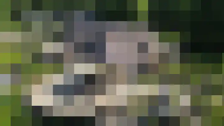 Elspeterweg 18 Vaassen thumbnail 26