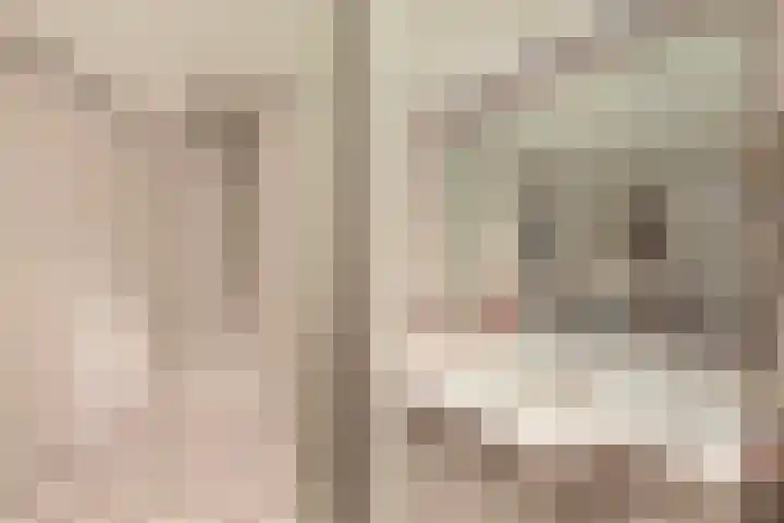 Elspeterweg 18 Vaassen thumbnail 30