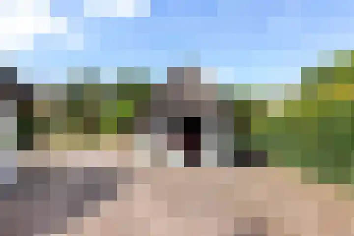 Elspeterweg 18 Vaassen thumbnail 35