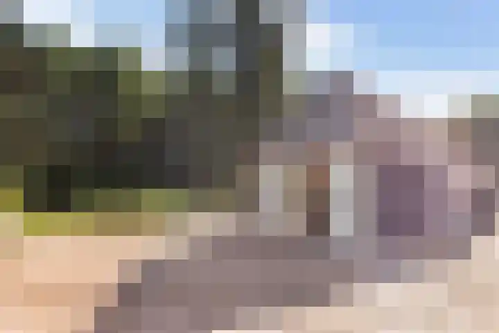 Elspeterweg 18 Vaassen thumbnail 36