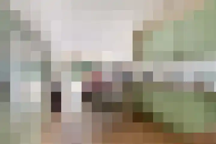Elspeterweg 18 Vaassen thumbnail 38