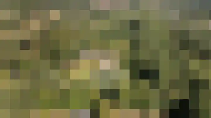 Elspeterweg 18 Vaassen thumbnail 4