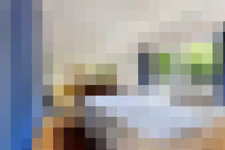 Elspeterweg 18 Vaassen thumbnail 42