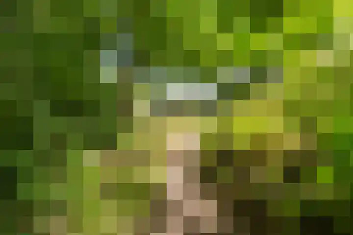 Elspeterweg 18 Vaassen thumbnail 48