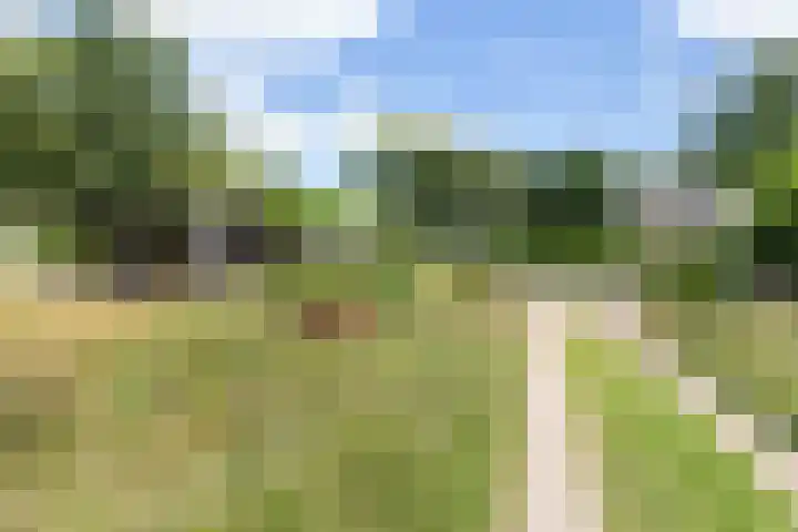 Elspeterweg 18 Vaassen thumbnail 49