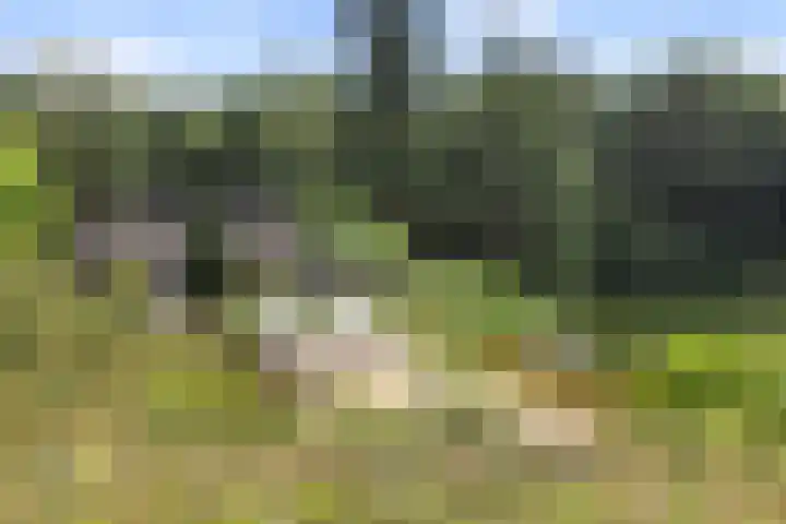 Elspeterweg 18 Vaassen thumbnail 5