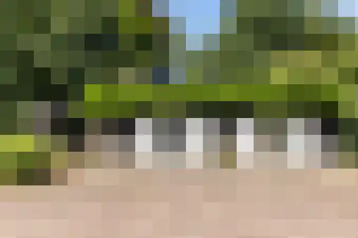 Elspeterweg 18 Vaassen thumbnail 50