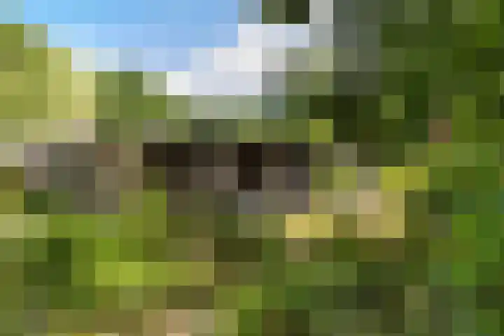 Elspeterweg 18 Vaassen thumbnail 51