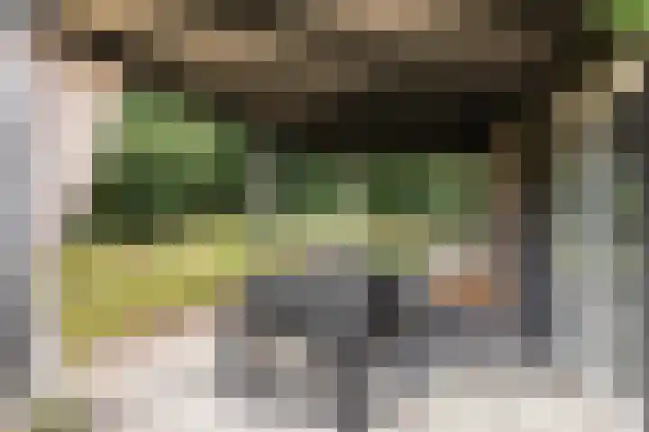 Elspeterweg 18 Vaassen thumbnail 52
