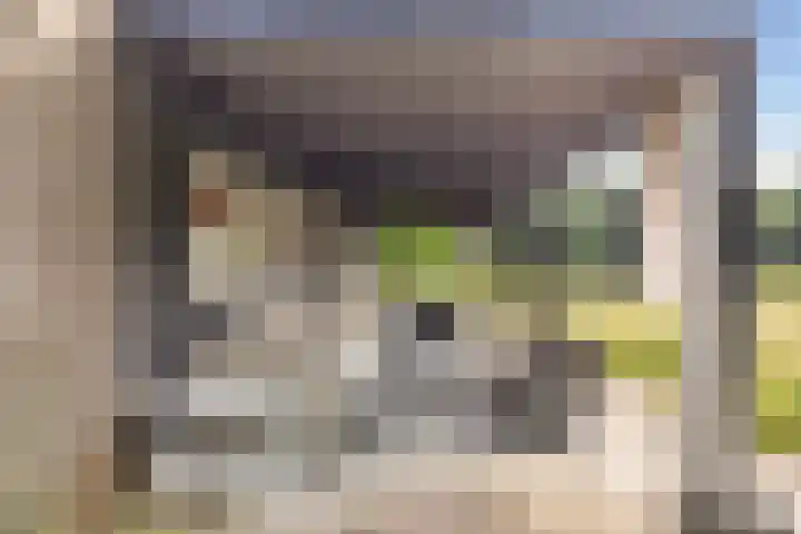Elspeterweg 18 Vaassen thumbnail 53