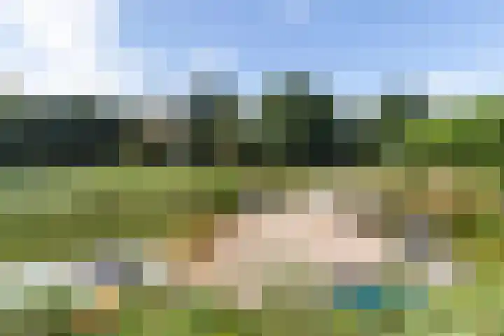 Elspeterweg 18 Vaassen thumbnail 6