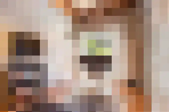 Elspeterweg 18 Vaassen thumbnail 65