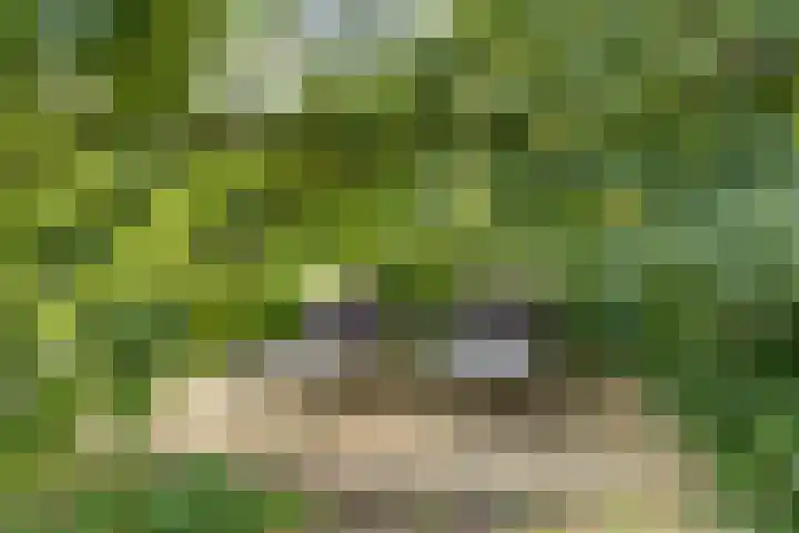 Elspeterweg 18 Vaassen thumbnail 66
