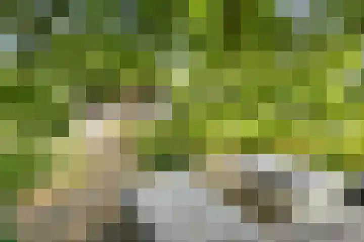 Elspeterweg 18 Vaassen thumbnail 67