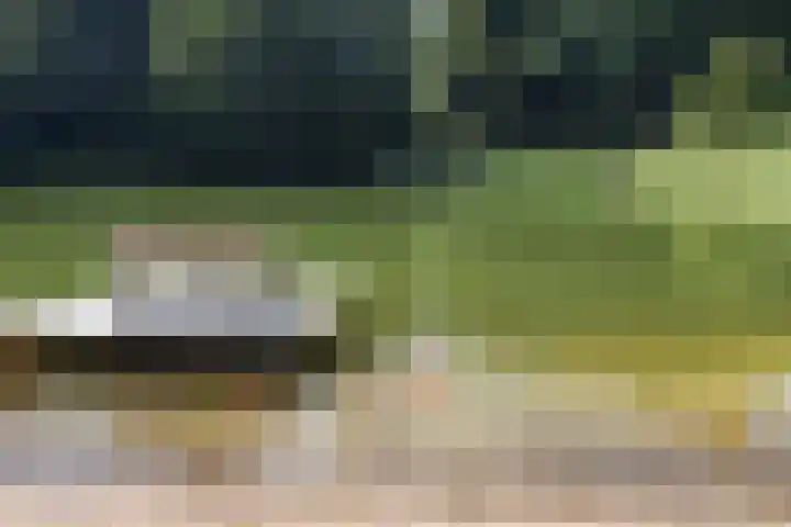 Elspeterweg 18 Vaassen thumbnail 69