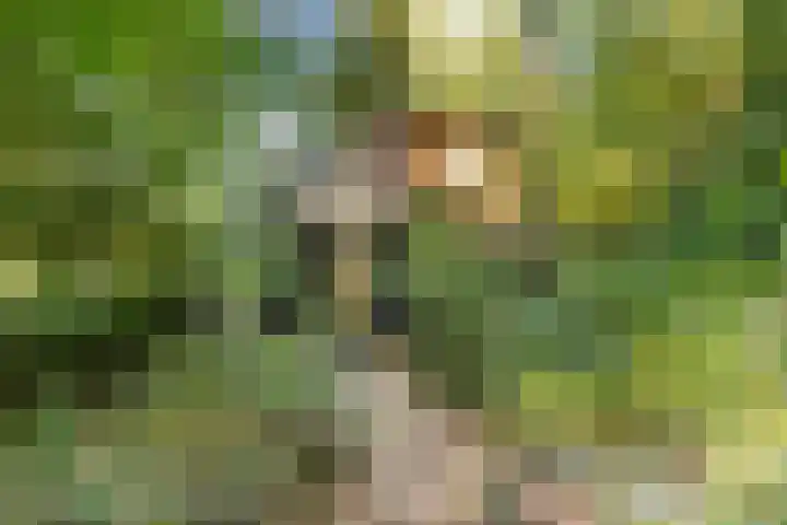 Elspeterweg 18 Vaassen thumbnail 70