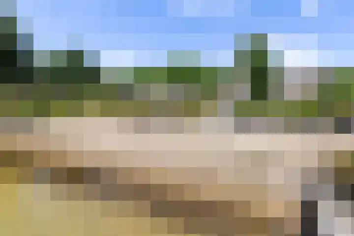 Elspeterweg 18 Vaassen thumbnail 8