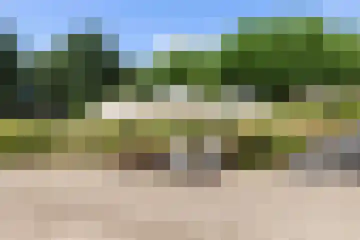 Elspeterweg 18 Vaassen thumbnail 9