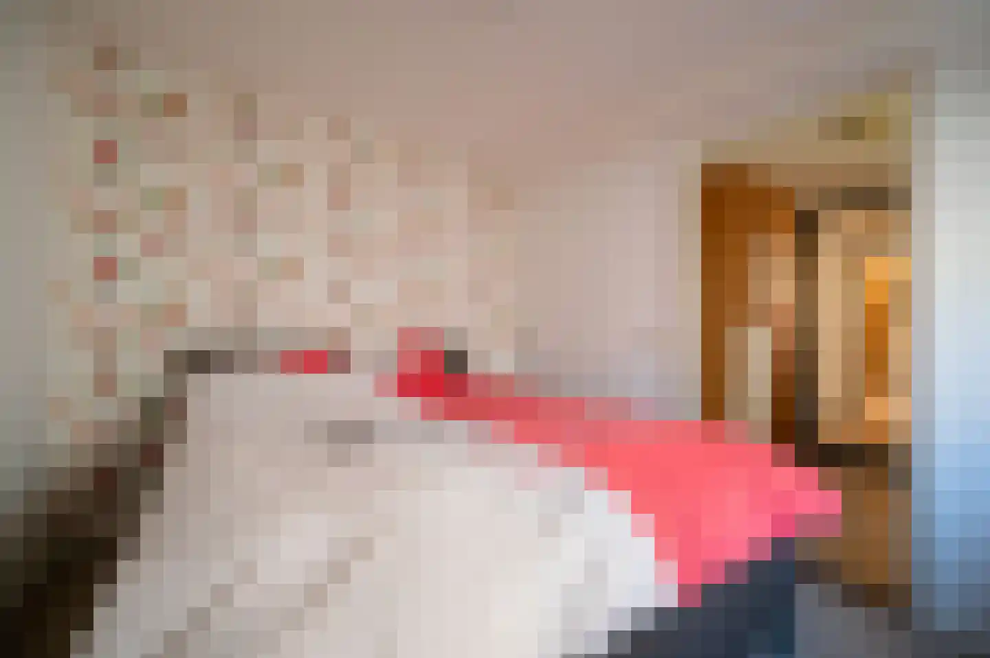 Elspeterweg 24 C Uddel thumbnail 17