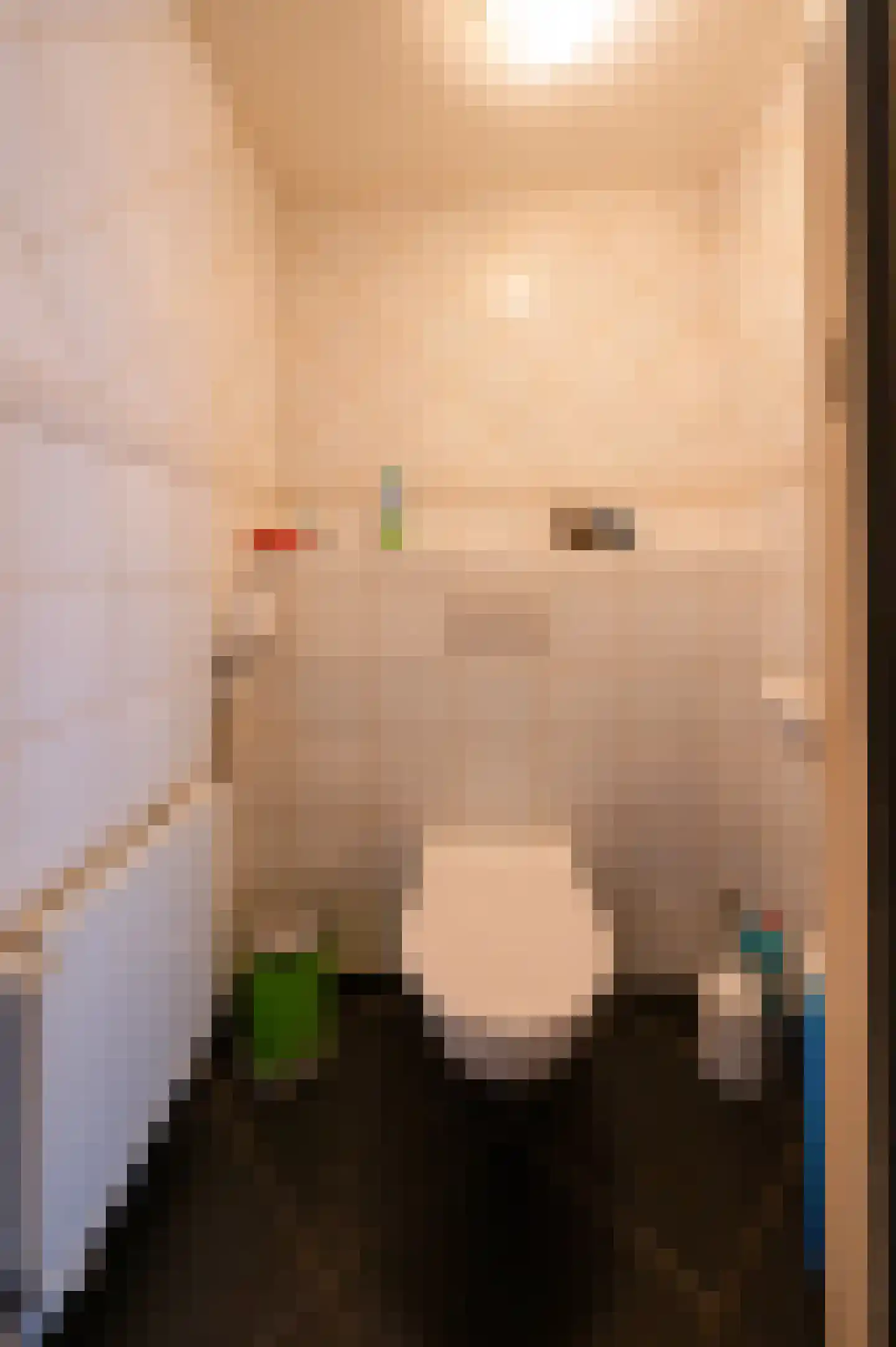 Elspeterweg 24 C Uddel thumbnail 18