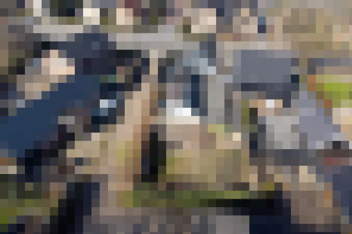 Elspeterweg 24 C Uddel thumbnail 27