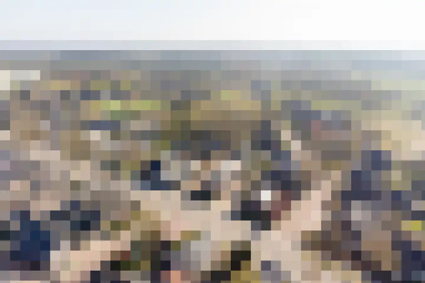 Elspeterweg 24 C Uddel thumbnail 6