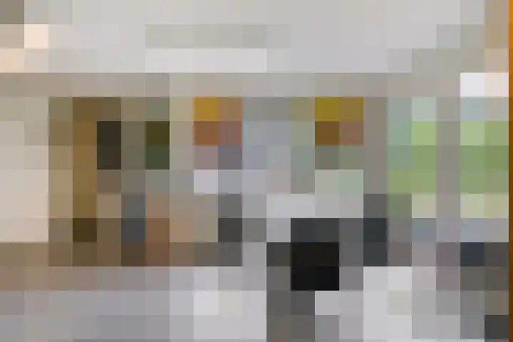 Elspeterweg 30 A Vaassen thumbnail 22
