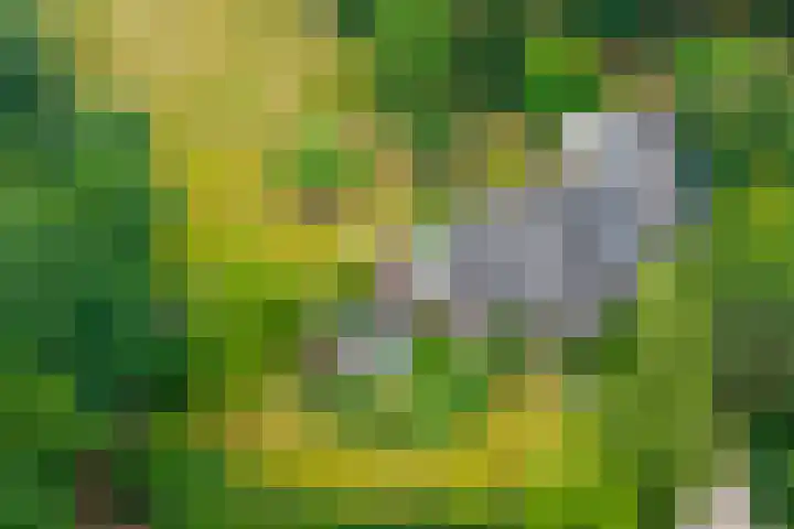 Elspeterweg 30 A Vaassen thumbnail 33