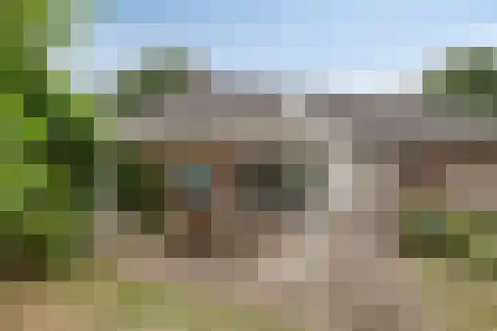 Elspeterweg 30 A Vaassen thumbnail 34