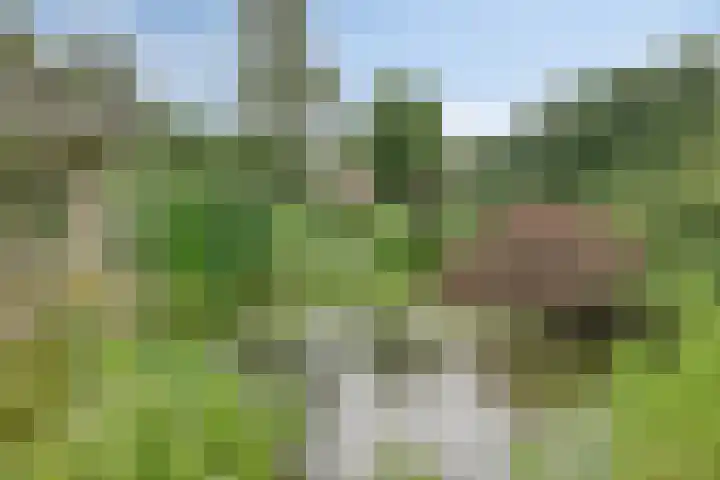 Elspeterweg 30 A Vaassen thumbnail 37