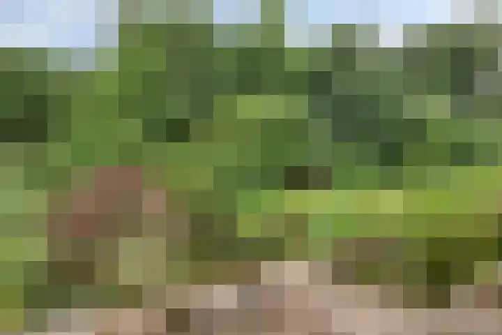 Elspeterweg 30 A Vaassen thumbnail 38