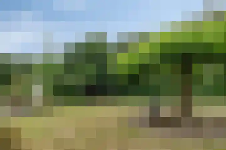 Elspeterweg 30 A Vaassen thumbnail 39
